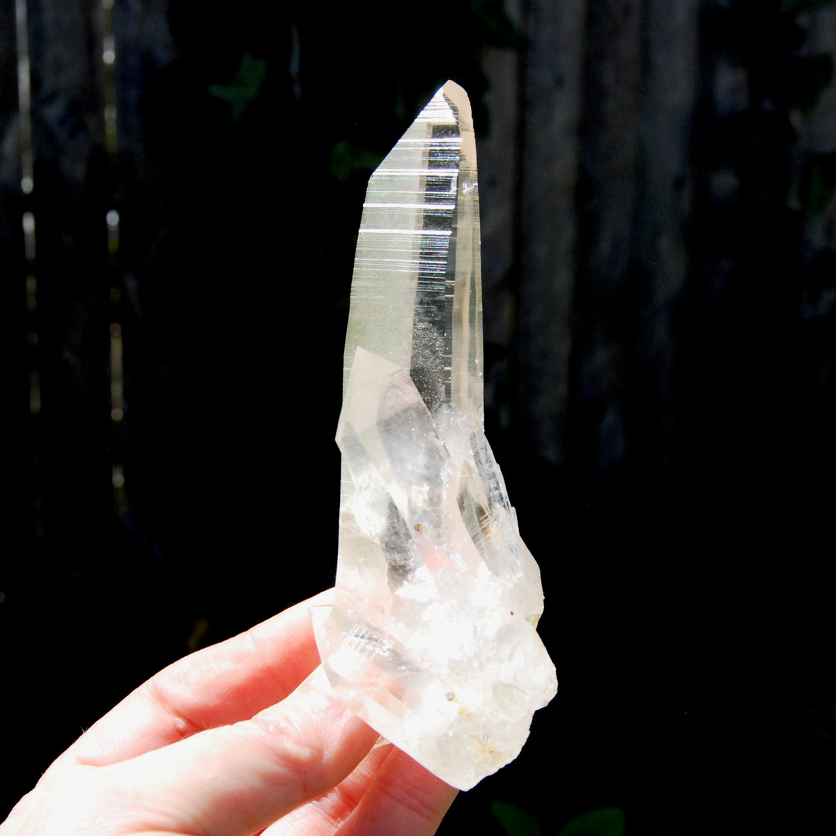 Record Keeper Dow Channeler Lemurian Seed Quartz Crystal Laser Cluster, Boyaca, Colombia