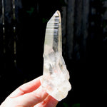 Record Keeper Dow Channeler Lemurian Seed Quartz Crystal Laser Cluster, Boyaca, Colombia