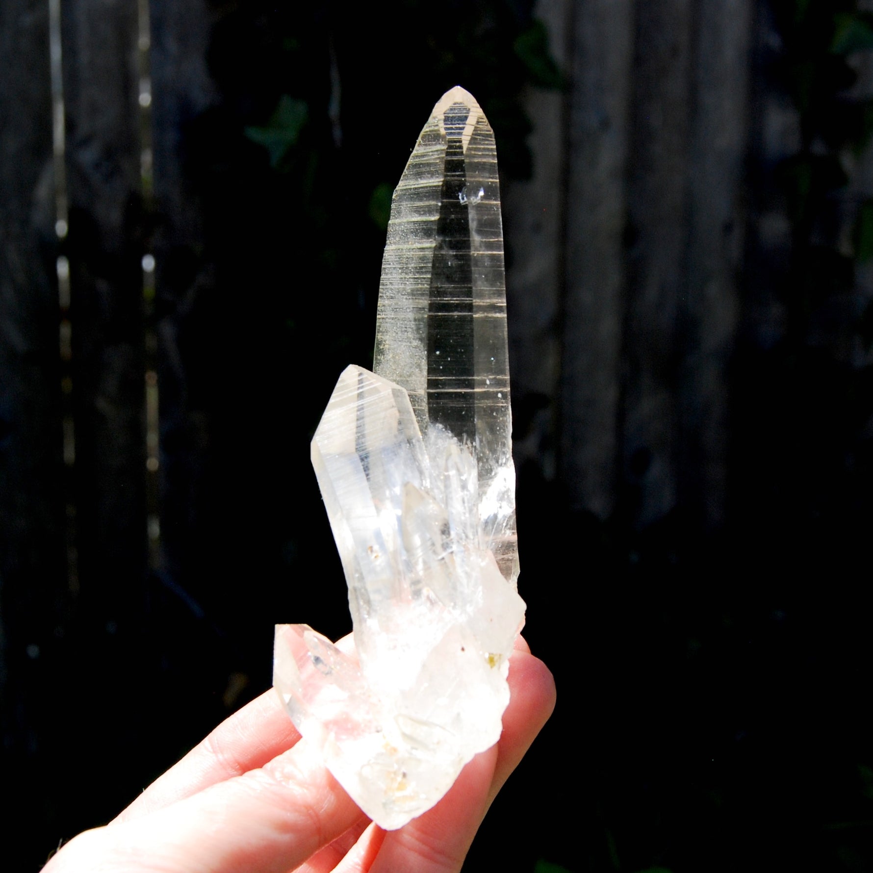 Record Keeper Dow Channeler Lemurian Seed Quartz Crystal Laser Cluster, Boyaca, Colombia
