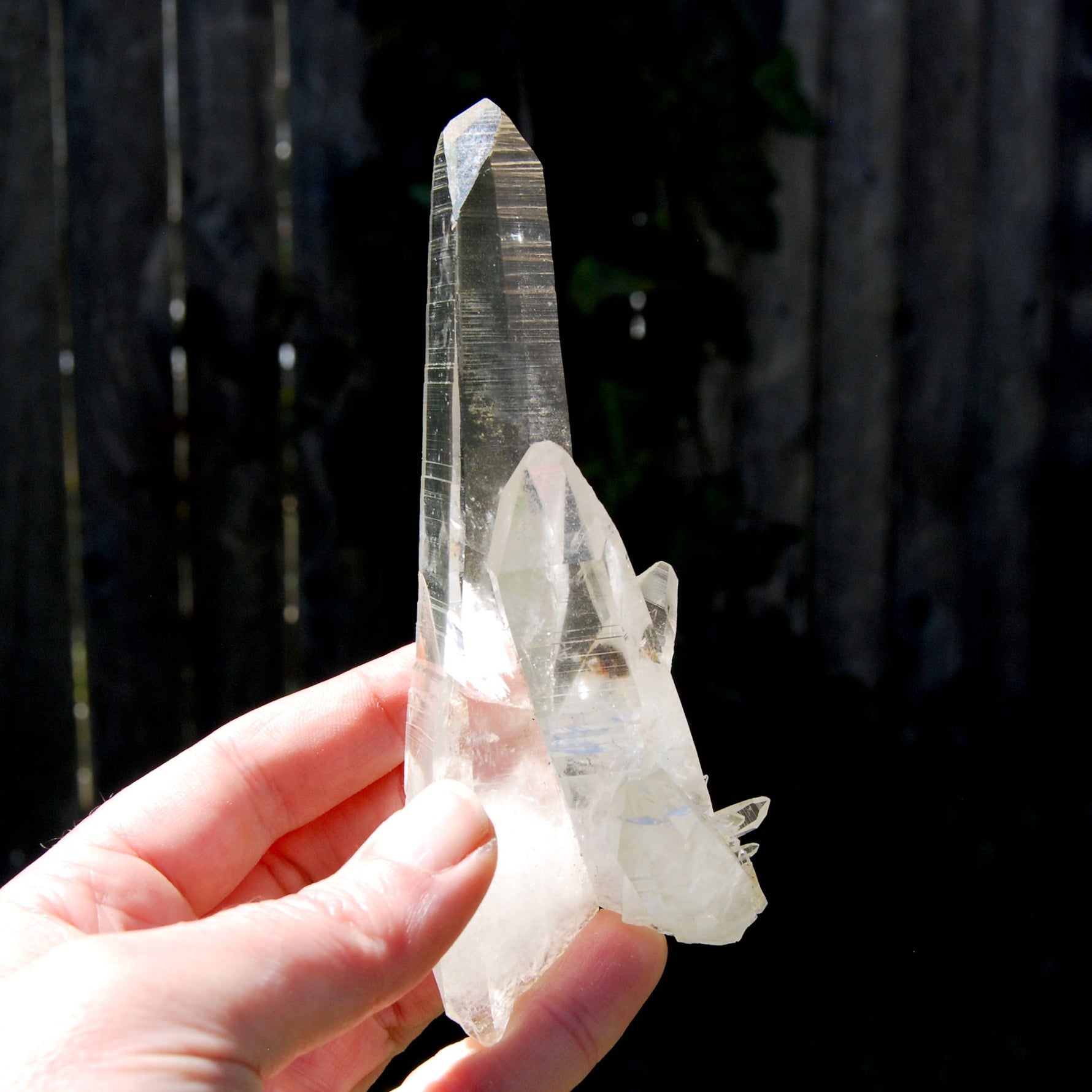 Record Keeper Dow Channeler Lemurian Seed Quartz Crystal Laser Cluster, Boyaca, Colombia