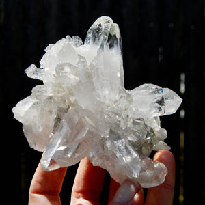 Cosmic Lemurian Silver Quartz Crystal Starburst Cluster DT Dow Channeler Starbrary, Brazil