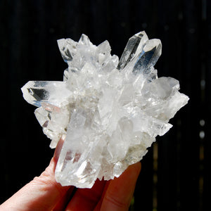 Cosmic Lemurian Silver Quartz Crystal Starburst Cluster DT Dow Channeler Starbrary, Brazil