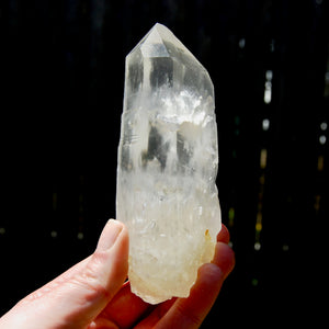 RARE Lightning Strike Isis Face Golden Sun Lemurian Seed Crystal, Yellow Sulfur Quartz Starbrary, Brazil