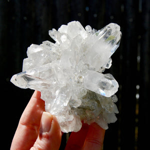 Cosmic Lemurian Silver Quartz Crystal Starburst Cluster DT Dow Channeler Starbrary, Brazil