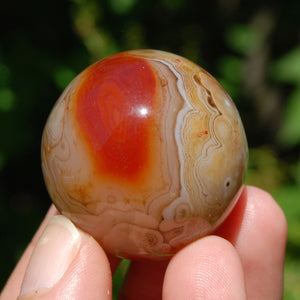 Red Sardonyx Banded Agate Crystal Sphere