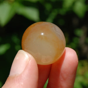 1in 19g Sardonyx Banded Agate Crystal Sphere, Madagascar