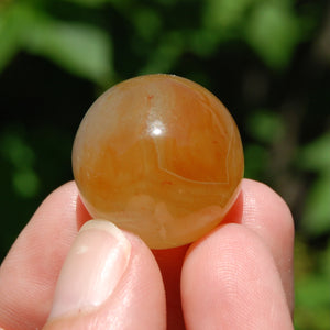 1in 19g Sardonyx Banded Agate Crystal Sphere, Madagascar