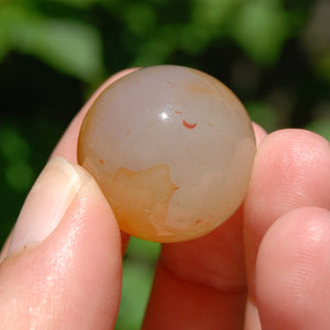 1in 19g Sardonyx Banded Agate Crystal Sphere, Madagascar