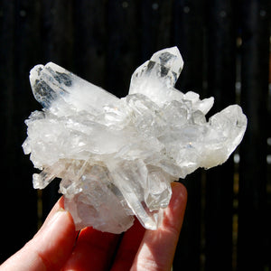 Cosmic Lemurian Silver Quartz Crystal Starburst Cluster DT Dow Channeler Starbrary, Brazil