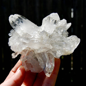 Cosmic Lemurian Silver Quartz Crystal Starburst Cluster DT Dow Channeler Starbrary, Brazil