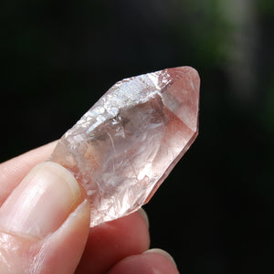 Pink Scarlet Temple Lemurian Seed Quartz Crystal