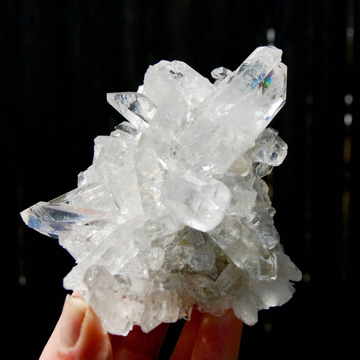 Cosmic Lemurian Silver Quartz Crystal Starburst Cluster DT Dow Channeler Starbrary, Brazil