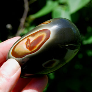 Polychrome Jasper Crystal Palm Stone