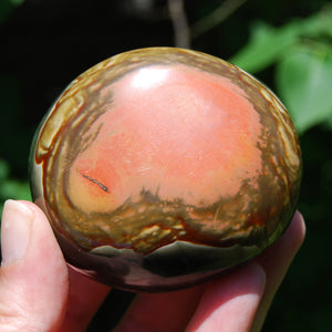 Polychrome Jasper Crystal Palm Stone