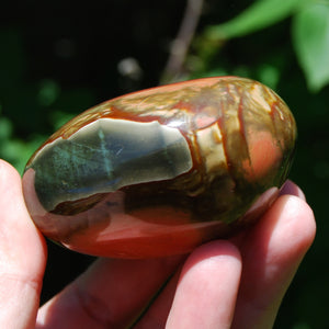 Polychrome Jasper Crystal Palm Stone