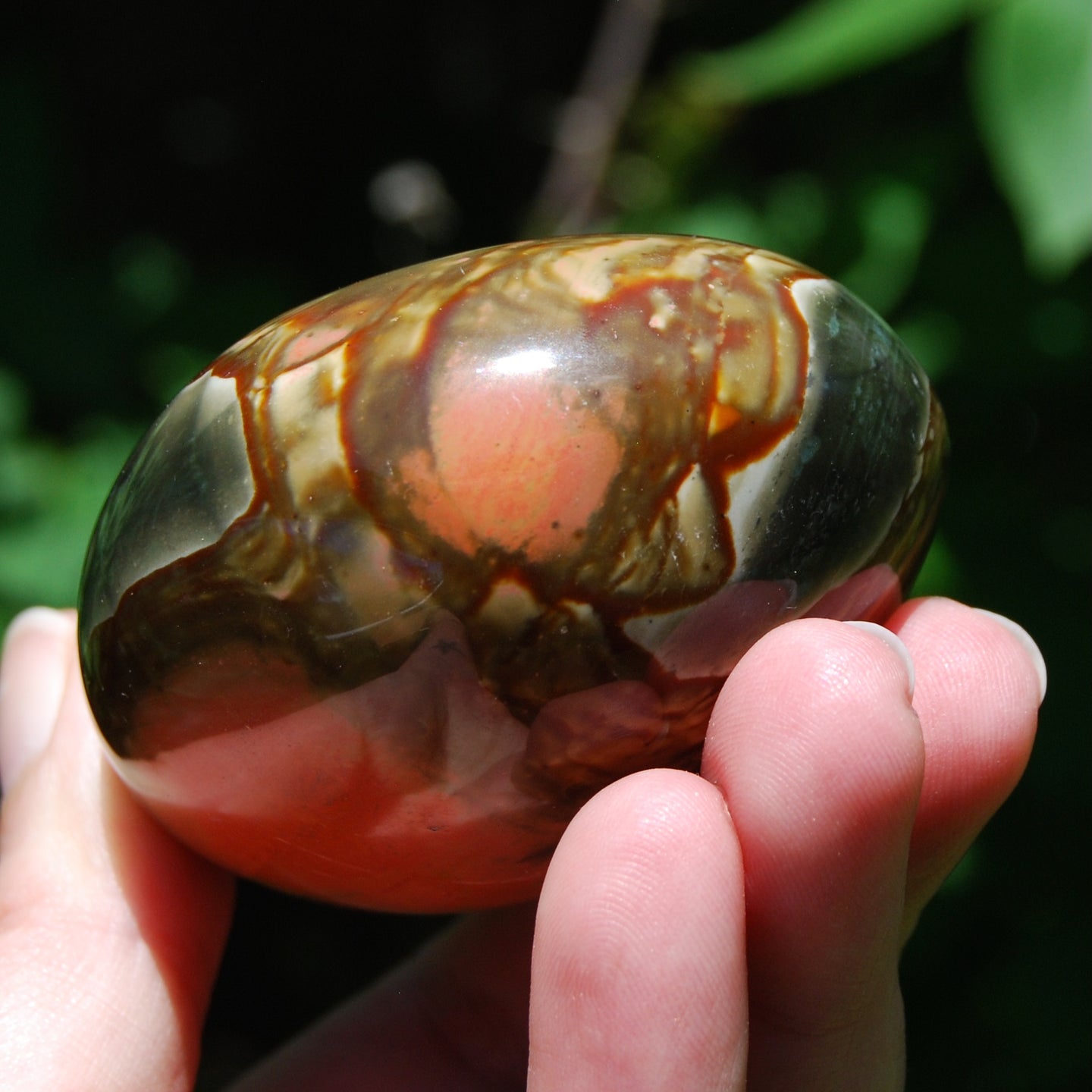 Polychrome Jasper Crystal Palm Stone