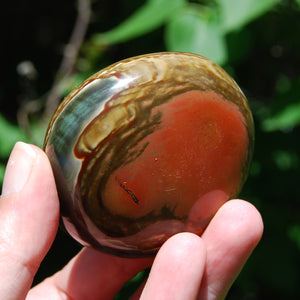 Polychrome Jasper Crystal Palm Stone