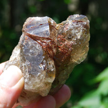 Load image into Gallery viewer, Sagenite Rutile Smoky Quartz Crystal Starbrary
