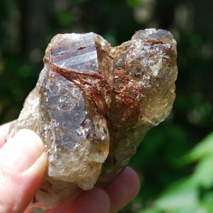 Sagenite Rutile Smoky Quartz Crystal Starbrary