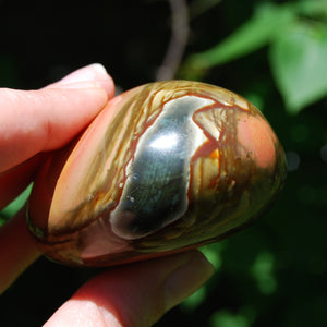 Polychrome Jasper Crystal Palm Stone