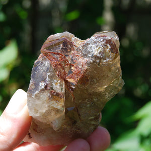 Sagenite Rutile Smoky Quartz Crystal Starbrary