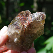 Load image into Gallery viewer, Sagenite Rutile Smoky Quartz Crystal Starbrary
