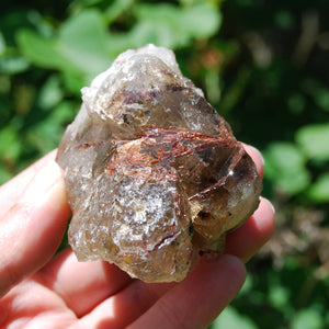 Sagenite Rutile Smoky Quartz Crystal Starbrary