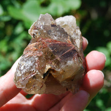 Load image into Gallery viewer, Sagenite Rutile Smoky Quartz Crystal Starbrary
