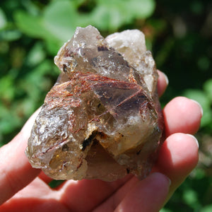 Sagenite Rutile Smoky Quartz Crystal Starbrary