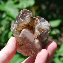 Load image into Gallery viewer, Sagenite Rutile Smoky Quartz Crystal Starbrary
