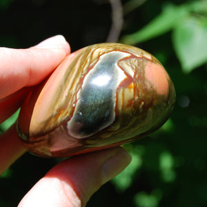 Polychrome Jasper Crystal Palm Stone