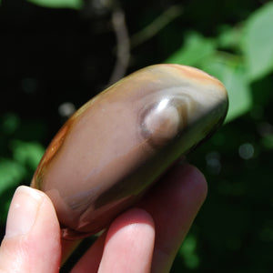 Polychrome Jasper Crystal Palm Stone