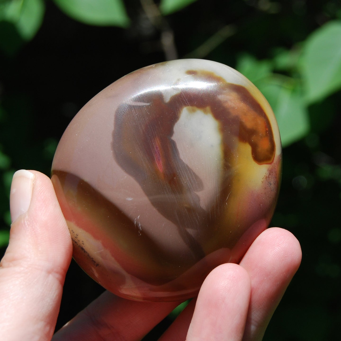 Polychrome Jasper Crystal Palm Stone