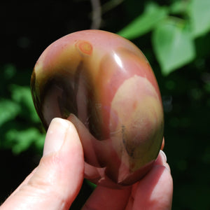 Polychrome Jasper Crystal Palm Stone