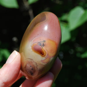 Polychrome Jasper Crystal Palm Stone