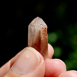 Blue Red Amphibole Quartz Crystal Mini Tower, Blue Angel Phantom Quartz