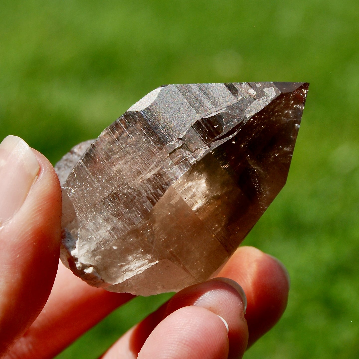 Gemmy Smoky Quartz Crystal Cathedral Starbrary, Akashic Lines, Malawi