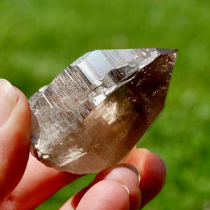 Gemmy Smoky Quartz Crystal Cathedral Starbrary, Akashic Lines, Malawi