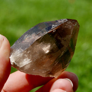 Gemmy Smoky Quartz Crystal Cathedral Starbrary, Akashic Lines, Malawi