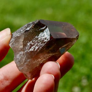 Gemmy Smoky Quartz Crystal Cathedral Starbrary, Akashic Lines, Malawi