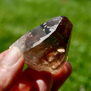 Gemmy Smoky Quartz Crystal Cathedral Starbrary, Akashic Lines, Malawi