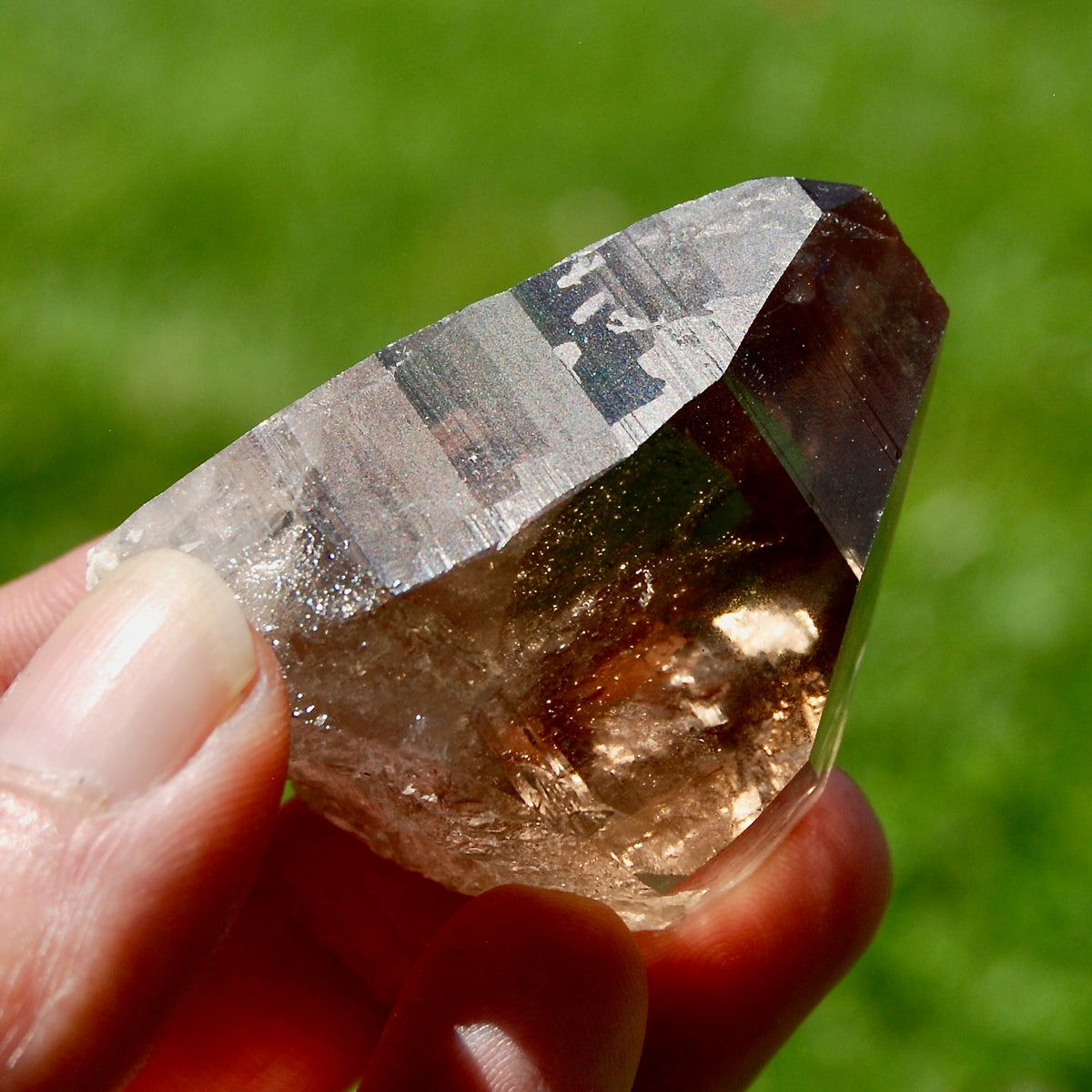 Gemmy Smoky Quartz Crystal Cathedral Starbrary, Akashic Lines, Malawi