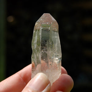 Gemmy Smoky Quartz Crystal Starbrary, Akashic Lines, Malawi