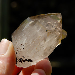 Tantric Twin Smoky Quartz Crystal Cathedral, Akashic Lines, Malawi