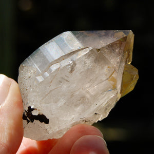 Tantric Twin Smoky Quartz Crystal Cathedral, Akashic Lines, Malawi