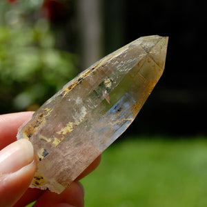 Smoky Quartz Crystal Cathedral Point, Akashic Lines, Malawi