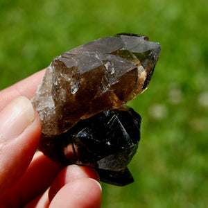 ET Tantric Twin Smoky Quartz Crystal Stabrary Cluster