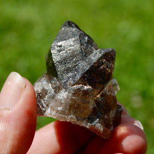 ET Tantric Twin Smoky Quartz Crystal Stabrary Cluster