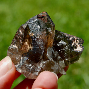 ET Tantric Twin Smoky Quartz Crystal Stabrary Cluster