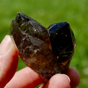 ET Tantric Twin Smoky Quartz Crystal Stabrary Cluster